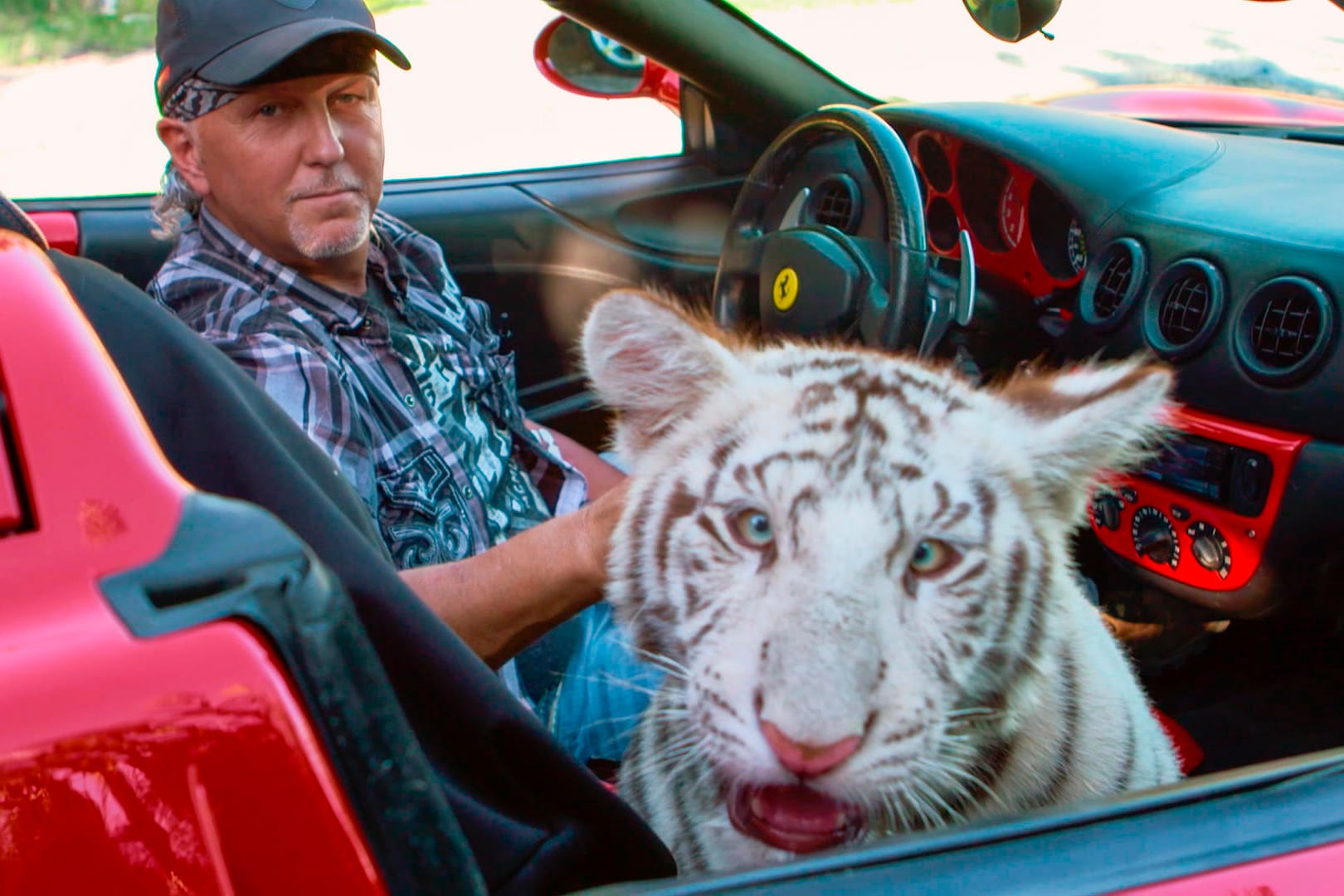 Mega-Erfolg auf Netflix: Joe Exotic ist der "Tiger King".