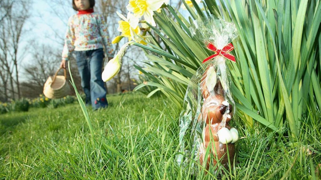 Ein Kinder sucht Ostereier (Symbolbild): In Deutschland fällt das Osterfest in diesem Jahr anders als sonst aus.