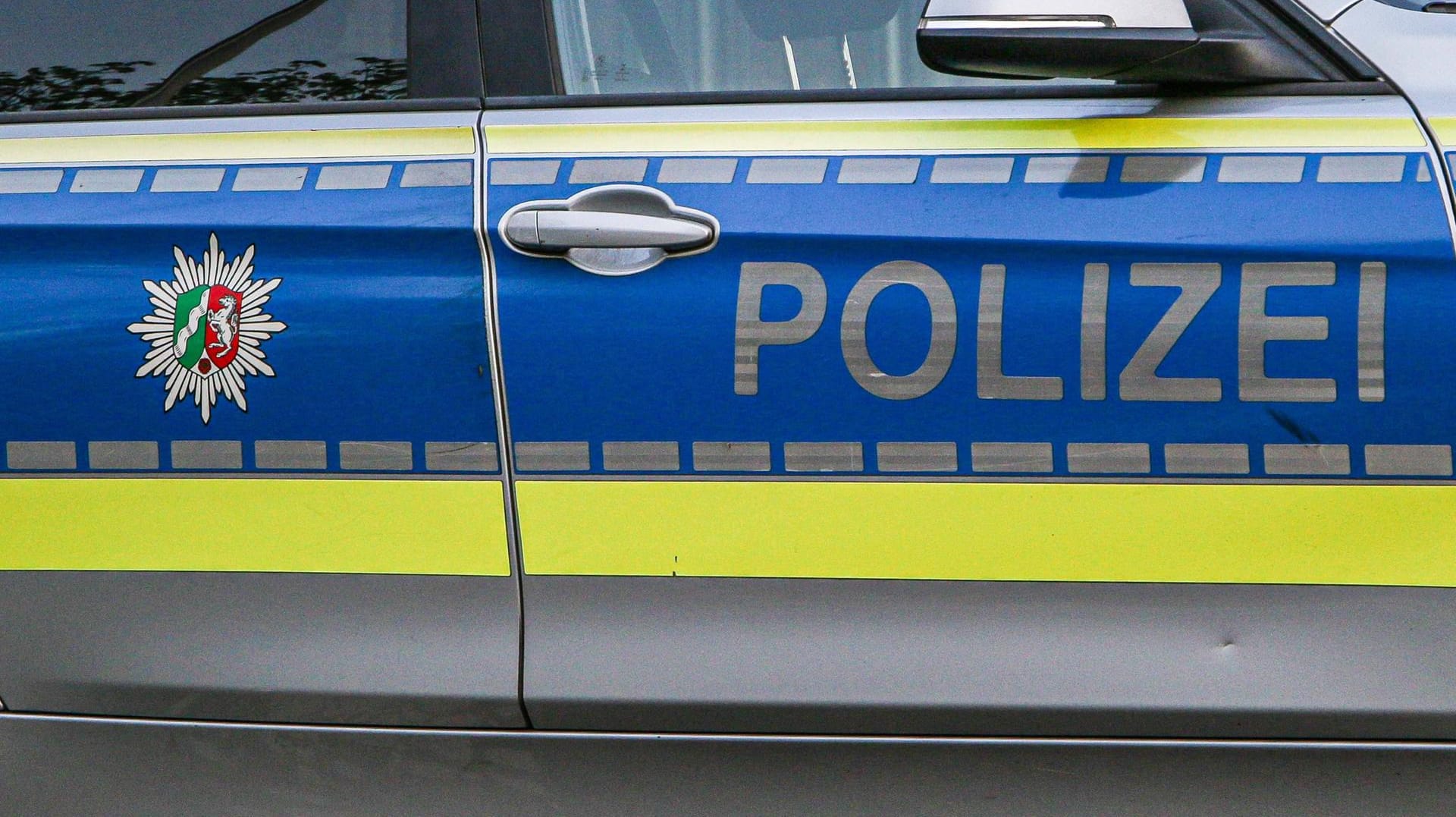 Polizeieinsatz: Ein Mann erschreckte Autofahrer als "Dinosaurier". Polizeieinsatz: Ein Mann erschreckte Autofahrer als "Dinosaurier".