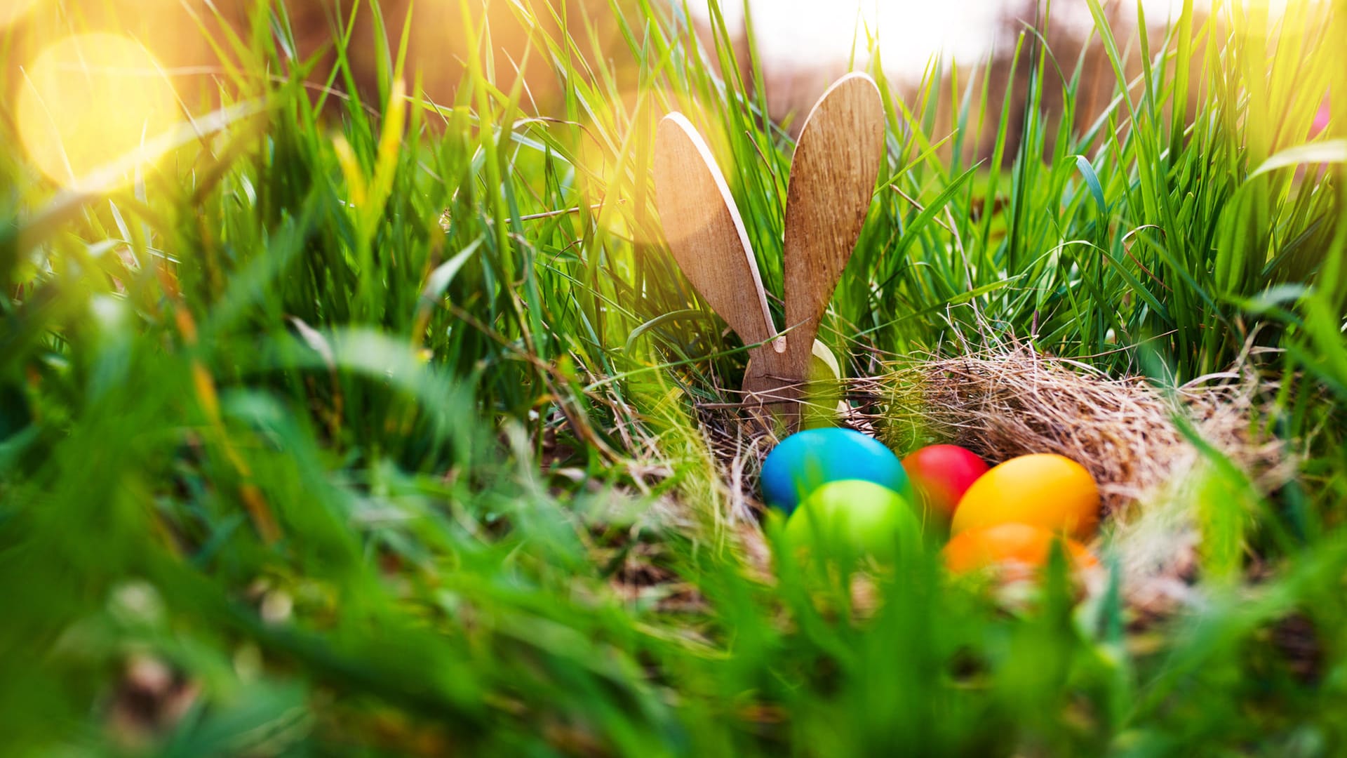 Weltweite Osterbräuche: Die tschechische Regierung warnt angesichts der Coronavirus-Pandemie vor einem uralten Brauch.