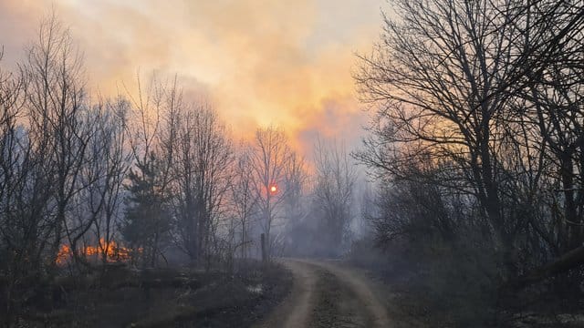 Rauchschwaden steigen von einem Waldbrand in der radioaktiv belasteten Sperrzone um das Kernkraftwerk Tschernobyl auf. Rauchschwaden steigen von einem Waldbrand in der radioaktiv belasteten Sperrzone um das Kernkraftwerk Tschernobyl auf.
