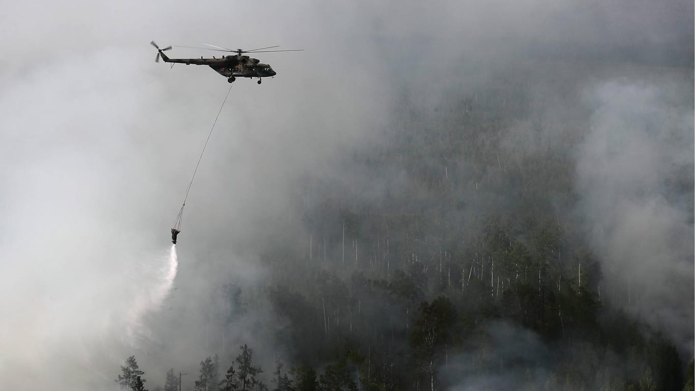 Russland: Umweltschützer befürchten mehr Waldbrände.