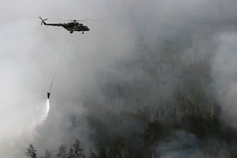 Russland: Umweltschützer befürchten mehr Waldbrände.