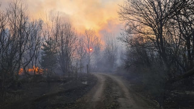 Rauchschwaden steigen von einem Waldbrand in der radioaktiv belasteten Sperrzone um das Kernkraftwerk Tschernobyl auf. Rauchschwaden steigen von einem Waldbrand in der radioaktiv belasteten Sperrzone um das Kernkraftwerk Tschernobyl auf.