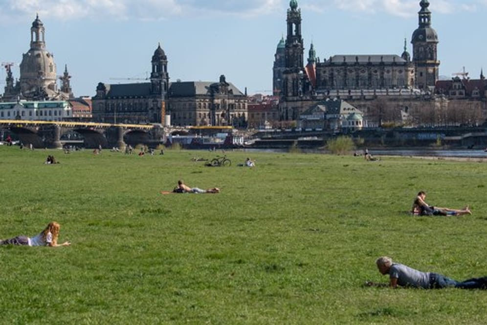 Menschen liegen auf den Elbwiesen in Dresden.