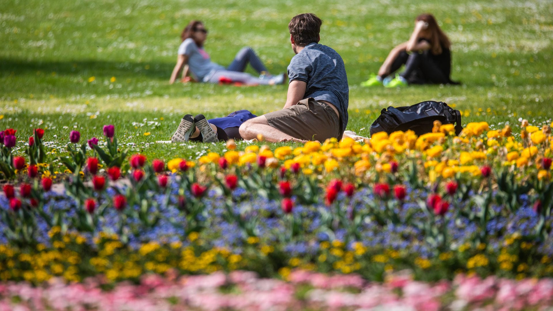 Besucher im Höhenpark Killesberg in Stuttgart: Besonders am Donnerstag wird es überall in Deutschland freundlich. Besucher im Höhenpark Killesberg in Stuttgart: Besonders am Donnerstag wird es überall in Deutschland freundlich.