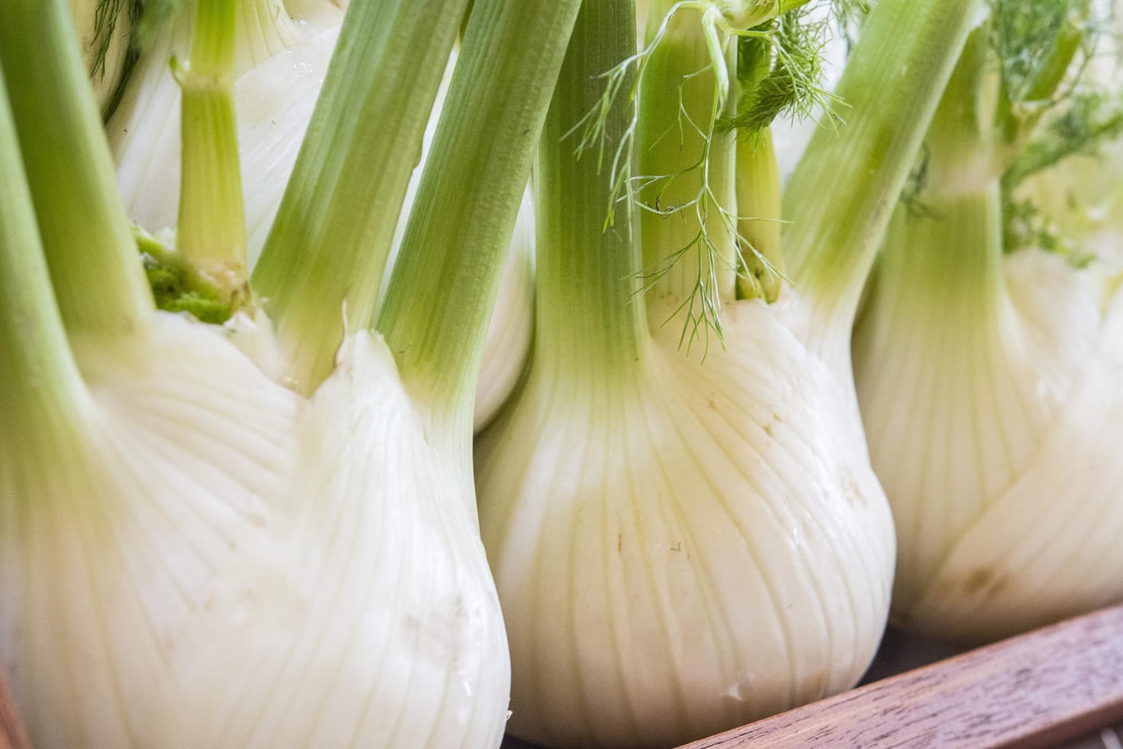 Fenchel: Das Gemüse bietet eine große Palette an unterschiedlichen Aromen und lässt sich so in der Küche vielseitig einsetzen.