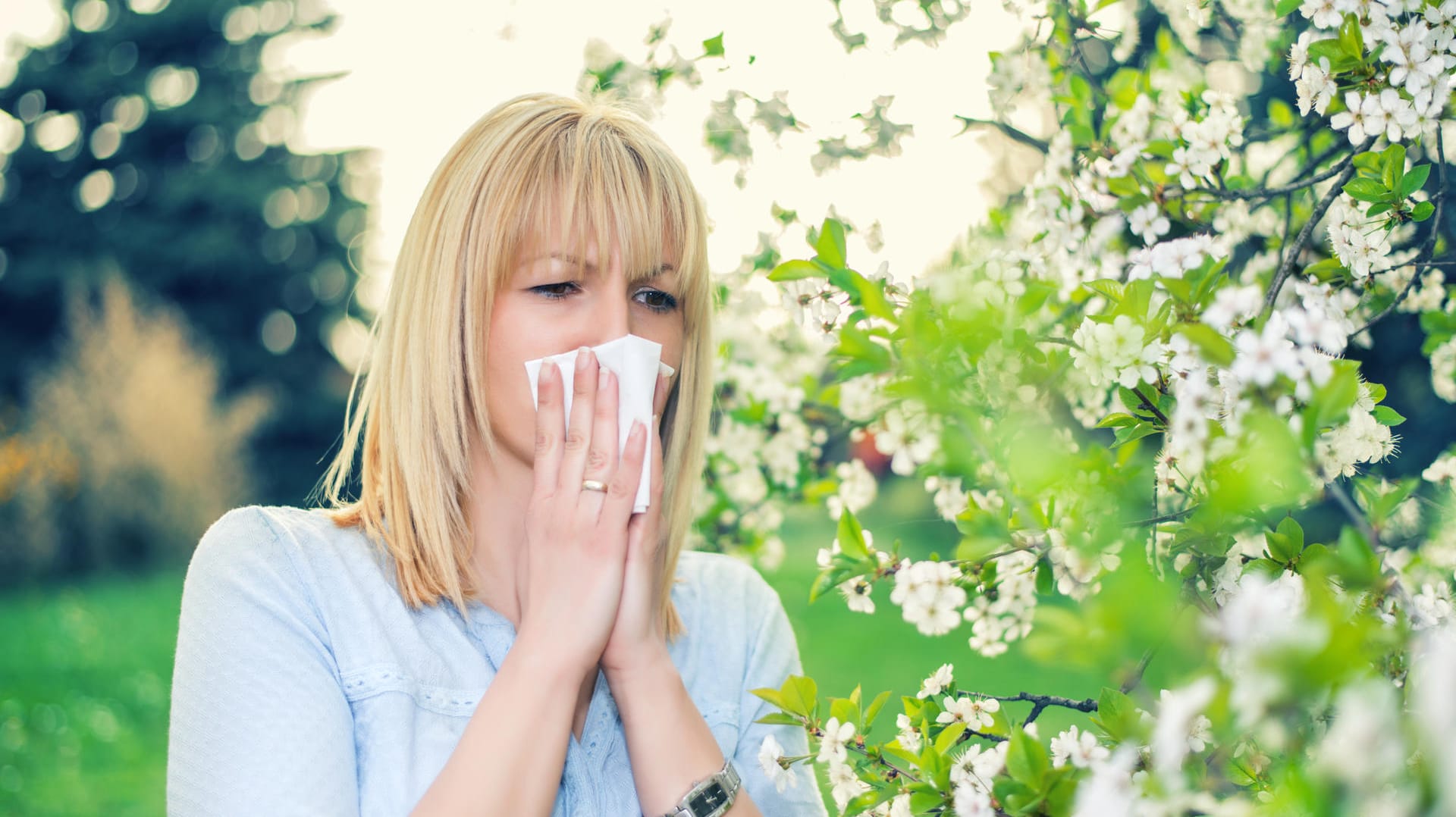 Pollenallergie: Zwischen 15 und 20 Prozent der Deutschen und damit mindestens zwölf Millionen Menschen leiden an Heuschnupfen.