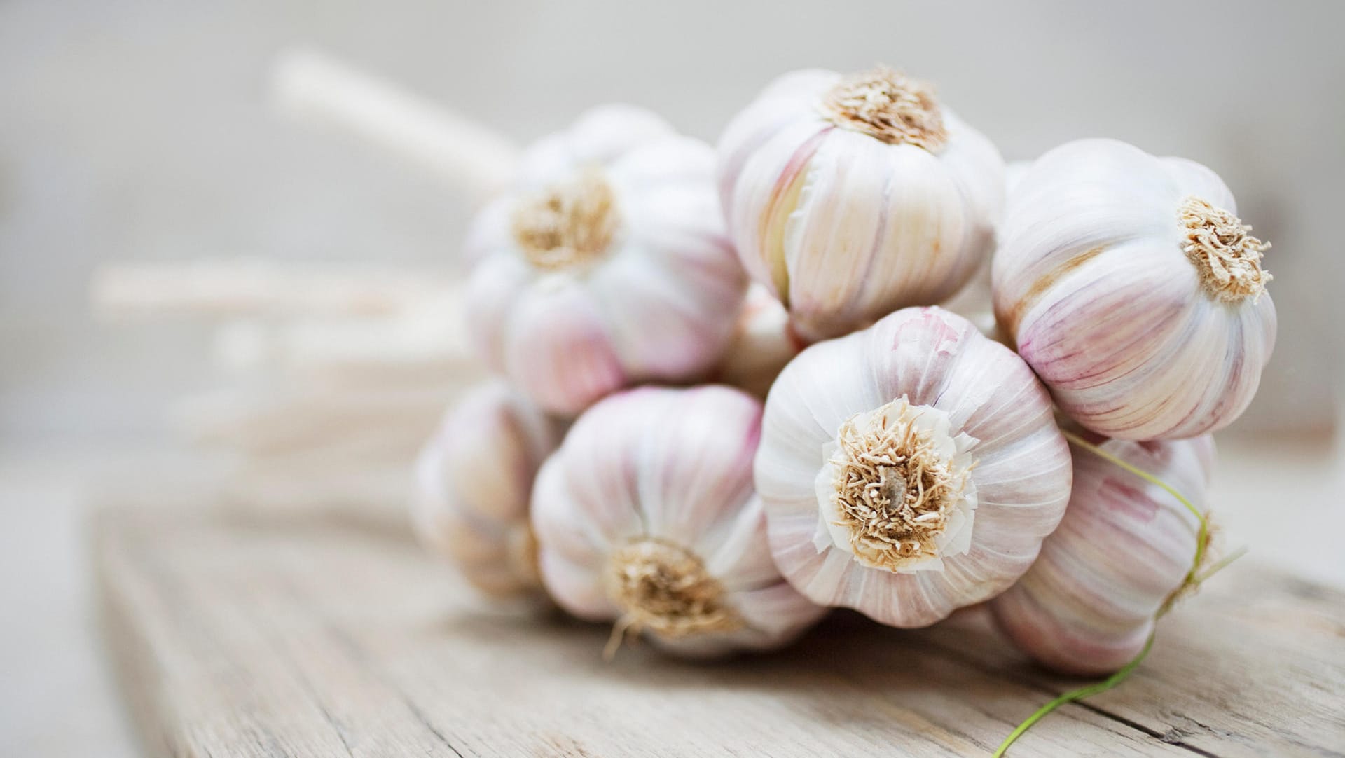 Knoblauch: Frischer Knoblauch ist das ganze Jahr über erhältlich.