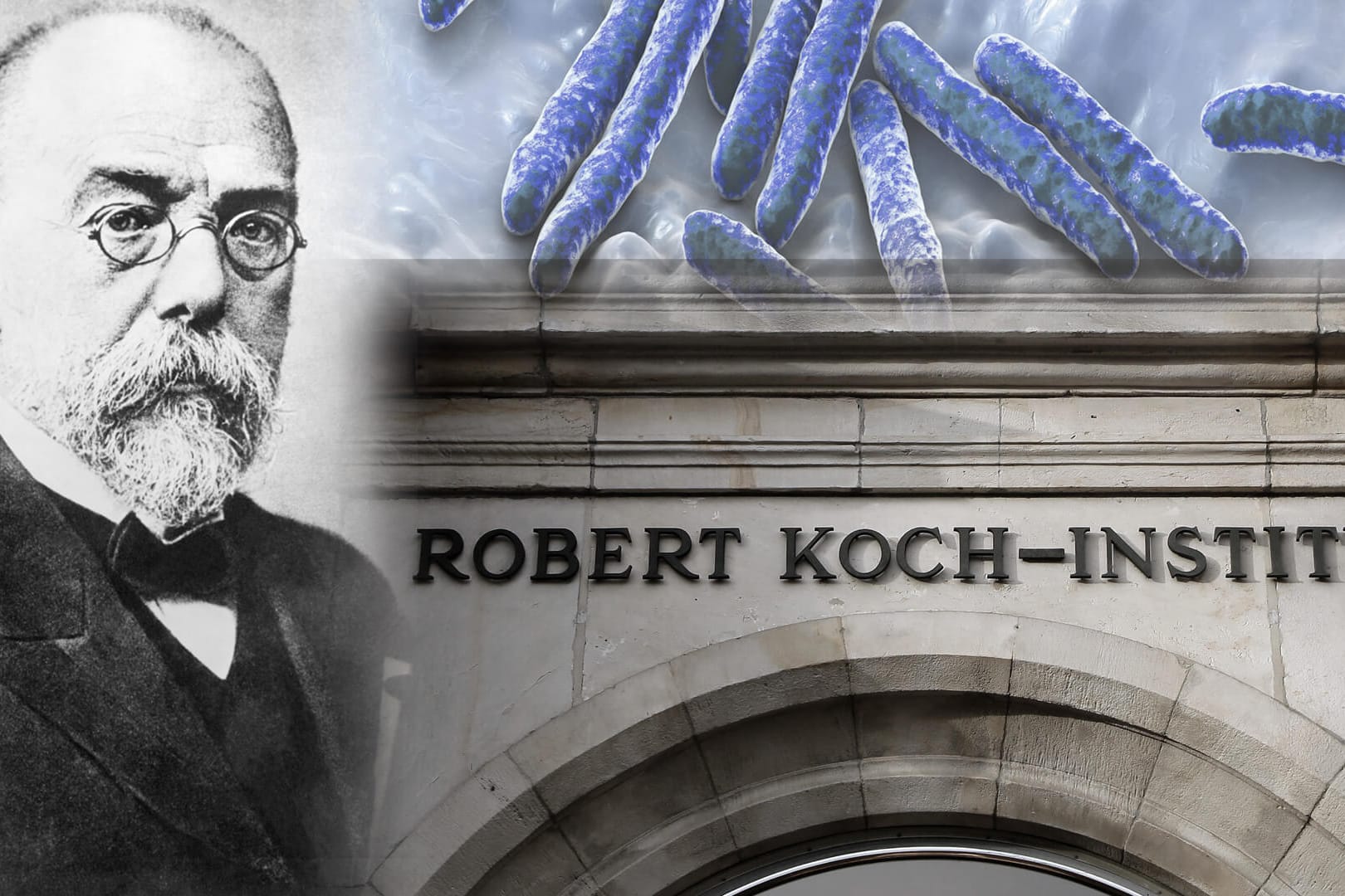 Robert Koch, das gleichnamige Institut, Tuberkulose-Bakterien: Der Entdecker des Tuberkulose-Erregers ist nicht unumstritten.