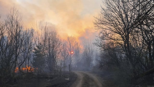 Rauchschwaden steigen von einem Waldbrand in der radioaktiv belasteten Sperrzone um das Kernkraftwerk Tschernobyl auf. Rauchschwaden steigen von einem Waldbrand in der radioaktiv belasteten Sperrzone um das Kernkraftwerk Tschernobyl auf.