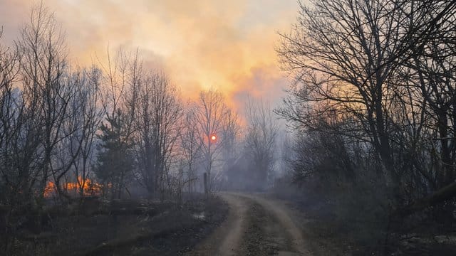 Rauchschwaden von einem Waldbrand steigen in der radioaktiv belasteten Sperrzone um das Kernkraftwerk Tschernobyl auf (Archivbild vom 10. Rauchschwaden von einem Waldbrand steigen in der radioaktiv belasteten Sperrzone um das Kernkraftwerk Tschernobyl auf (Archivbild vom 10.