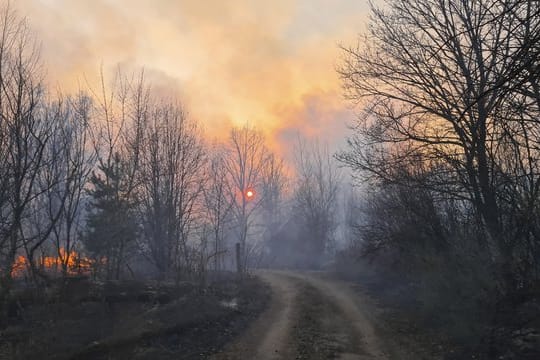 Rauchschwaden von einem Waldbrand steigen in der radioaktiv belasteten Sperrzone um das Kernkraftwerk Tschernobyl auf (Archivbild vom 10.