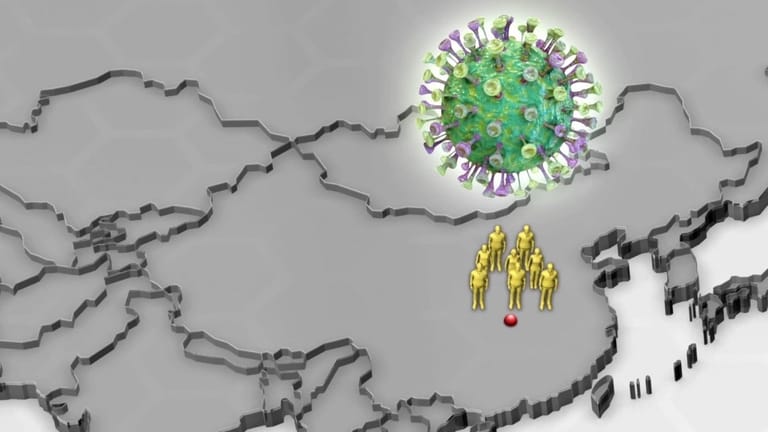 Drei Varianten identifiziert: Diese Animation zeigt, wo sich welche Mutation des Coronavirus-Erregers verbreitet hat.