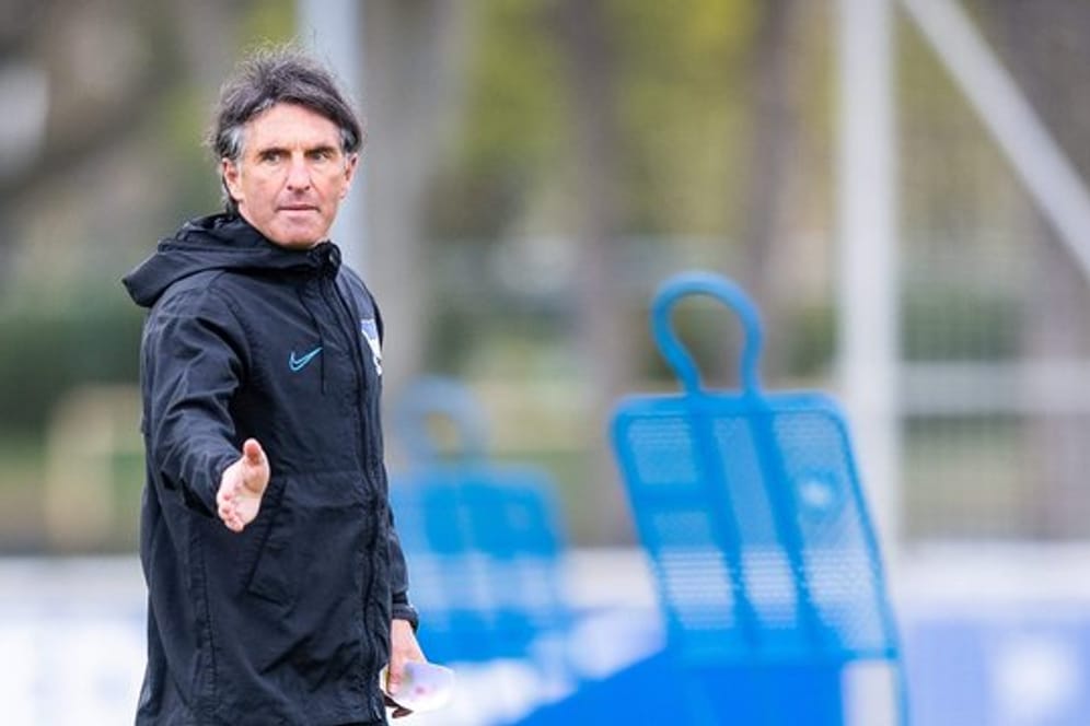 Trainer Bruno Labbadia soll Hertha BSC stabilisieren.