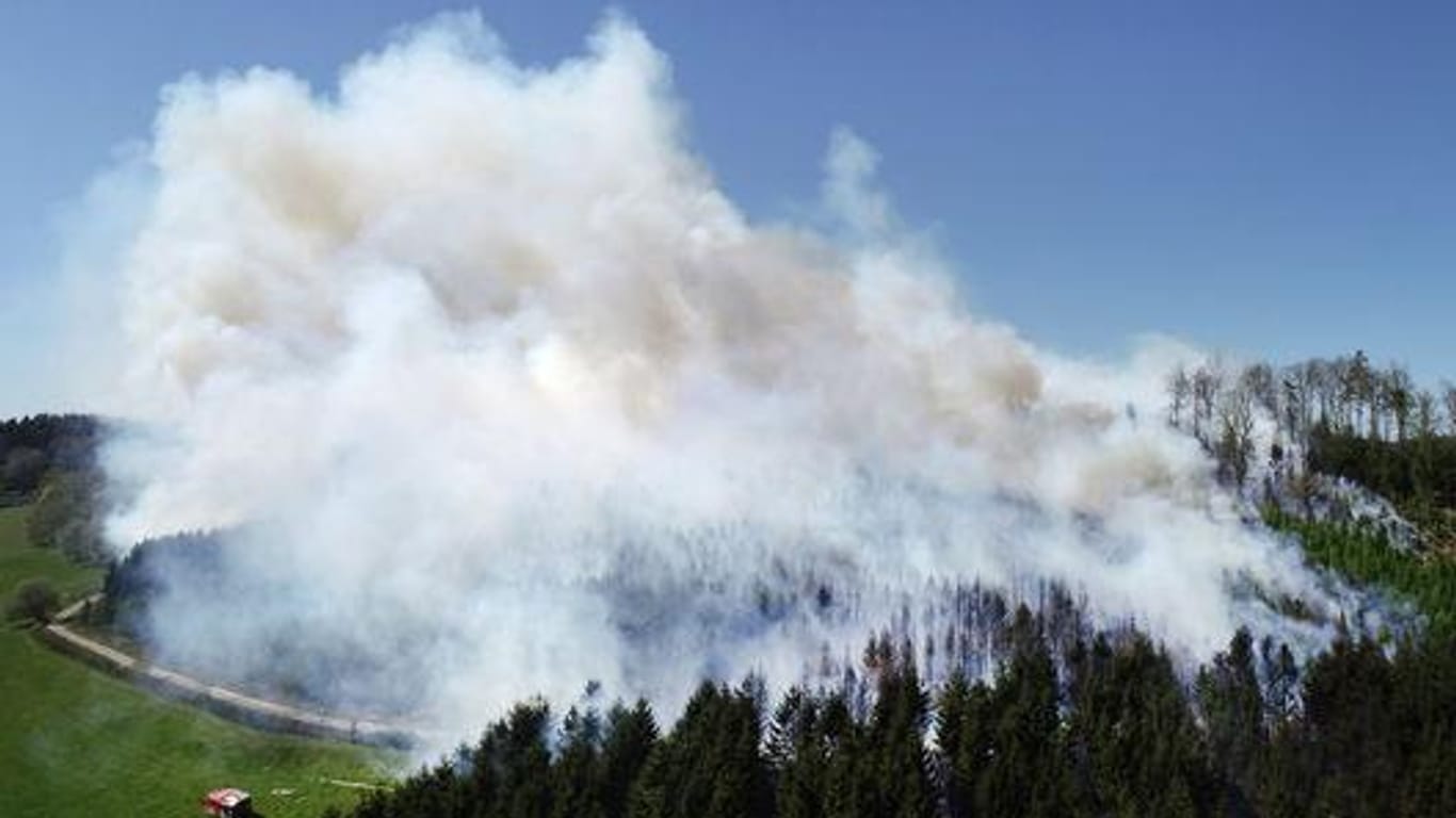 NRW: 60 Hektar Wald verbrannt.