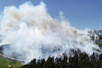 NRW: 60 Hektar Wald verbrannt.