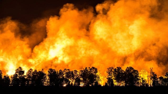Ein Waldstück im Mariapeel bei Deurne in den Niederlanden steht unter Feuer. Ein Waldstück im Mariapeel bei Deurne in den Niederlanden steht unter Feuer.