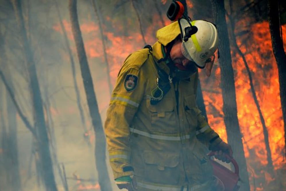 Wegen der Buschbrände hat Australiens Umwelt ein extrem schlimmes Jahr hinter sich.