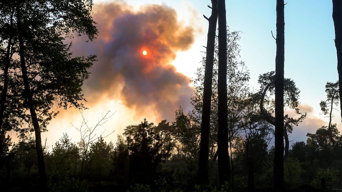 Waldbrand in Belgien: Im Naturschutzgebiet "De Liereman" verursacht das Feuer große Rauchwolken.