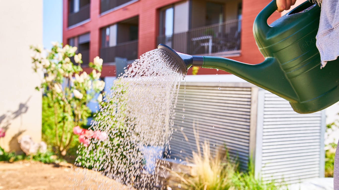 Bewässerung: Gießen Sie Ihre Pflanzen richtig, damit das Wasser auch im Boden versickern kann.