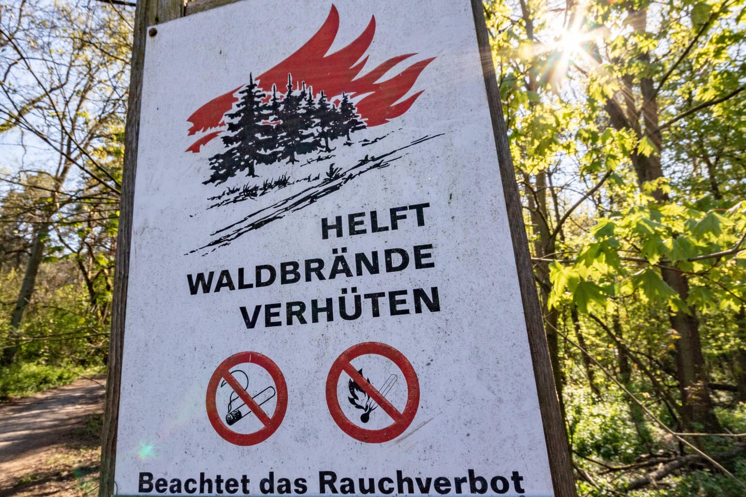 Es wird warm in Deutschland: Die Waldbrandgefahr ist vielerorts hoch.