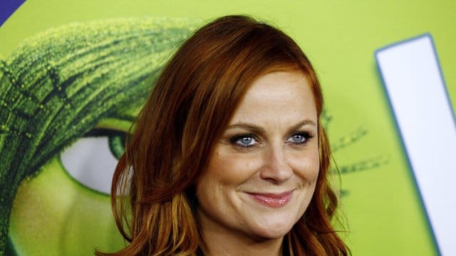 Die amerikanische Schauspielerin Amy Poehler kommt 2015 zu einer Filmpremiere.