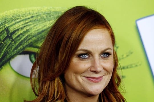 Die amerikanische Schauspielerin Amy Poehler kommt 2015 zu einer Filmpremiere.