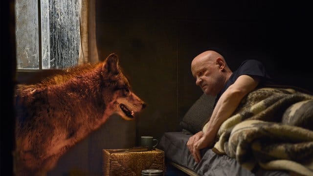 Kommissar Krüger (Christian Redl) und der Wolf in einer Szene des "Spreewaldkrimi - Zeit der Wölfe". Kommissar Krüger (Christian Redl) und der Wolf in einer Szene des "Spreewaldkrimi - Zeit der Wölfe".