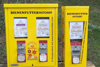 Automaten mit einem Centbetrag füttern und so einen kleinen Beitrag gegen das Bienensterben leisten.