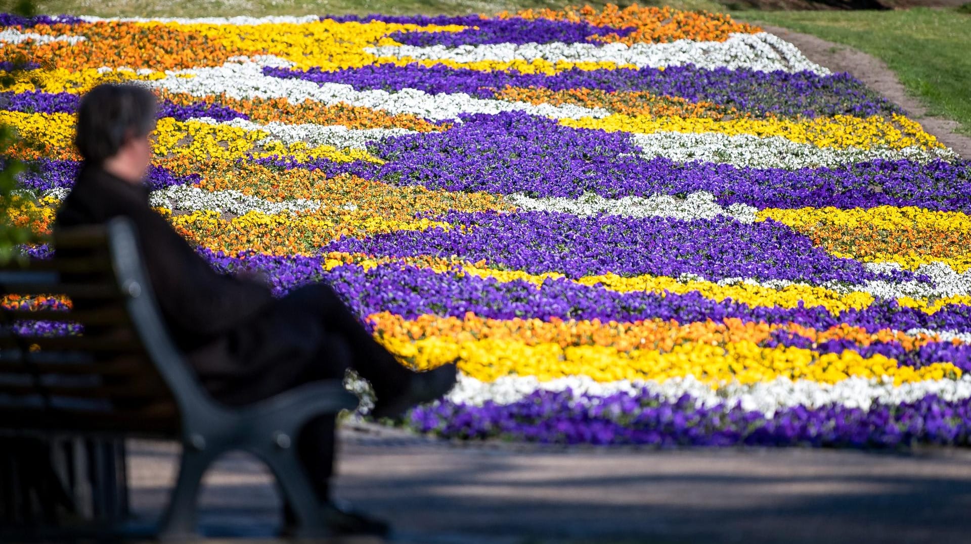 Blumenbeet in den Wallanlagen in Bremen: In weiten Teilen Deutschlands war es zum Ende der Arbeitswoche frühsommerlich warm. Blumenbeet in den Wallanlagen in Bremen: In weiten Teilen Deutschlands war es zum Ende der Arbeitswoche frühsommerlich warm.