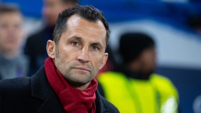 Salihamidzic will mit Neuer verlängern und einen weiteren internationalen Topspieler nach München holen. Salihamidzic will mit Neuer verlängern und einen weiteren internationalen Topspieler nach München holen.