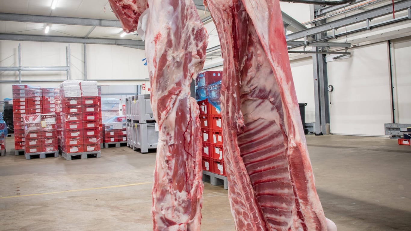 Rinderhälften am Haken in einem Schlachtbetrieb (Symbolbild): In Süddeutschland haben sich viele Arbeiter einer Fleischfirma mit dem Coronavirus angesteckt.