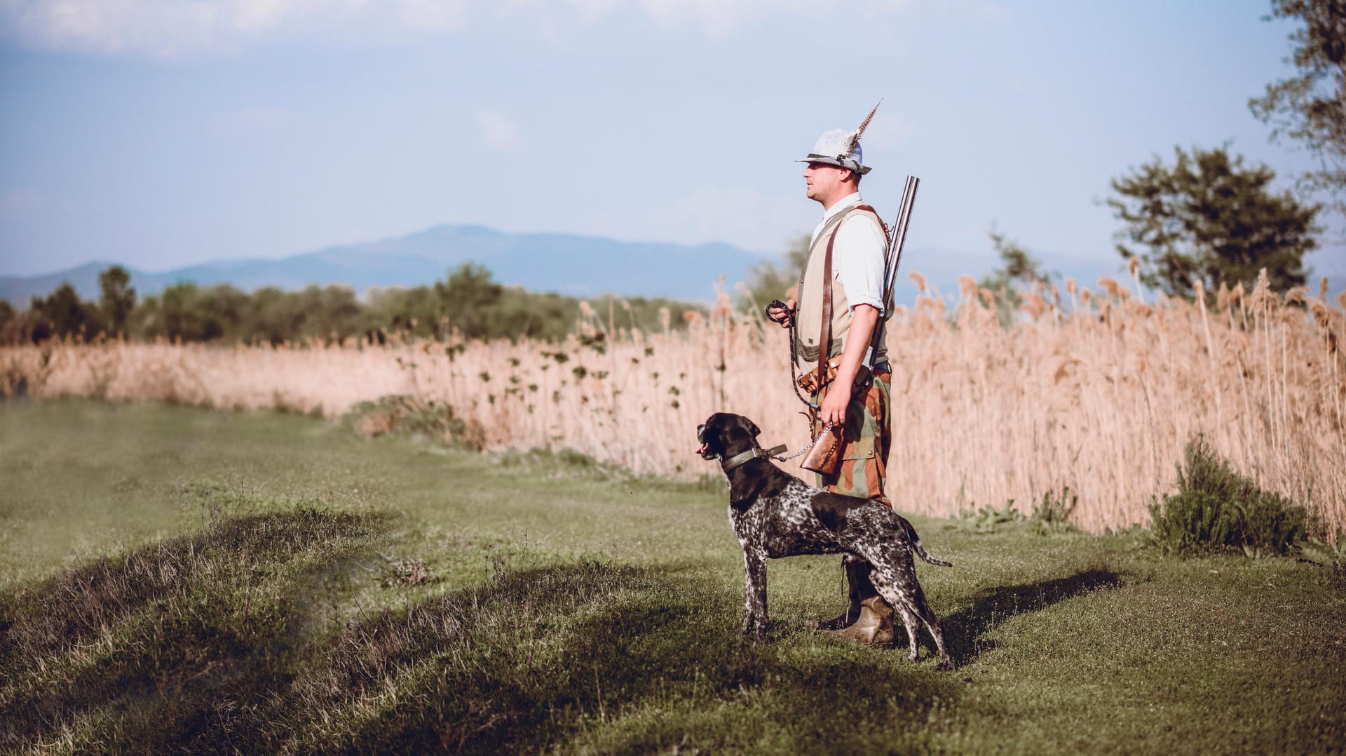 Jagd: Vor allem Wildschweine müssen das ganze Jahr über geschossen werden, um eine Ausbreitung der Afrikanischen Wildschweinseuche vorzubeugen.