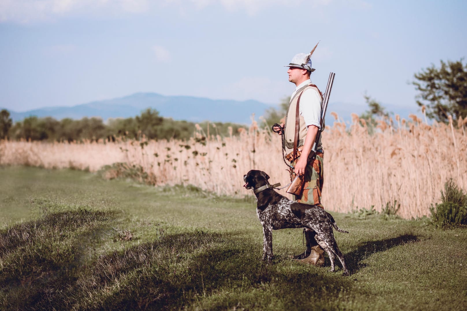 Jagd: Vor allem Wildschweine müssen das ganze Jahr über geschossen werden, um eine Ausbreitung der Afrikanischen Wildschweinseuche vorzubeugen.