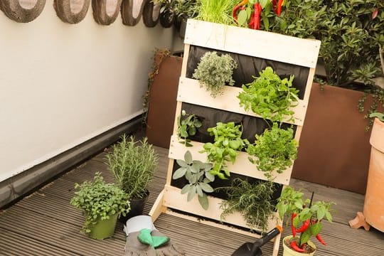 Ein vertikaler Garten braucht wenig Platz und bringt Kräutervielfalt auf den Balkon.