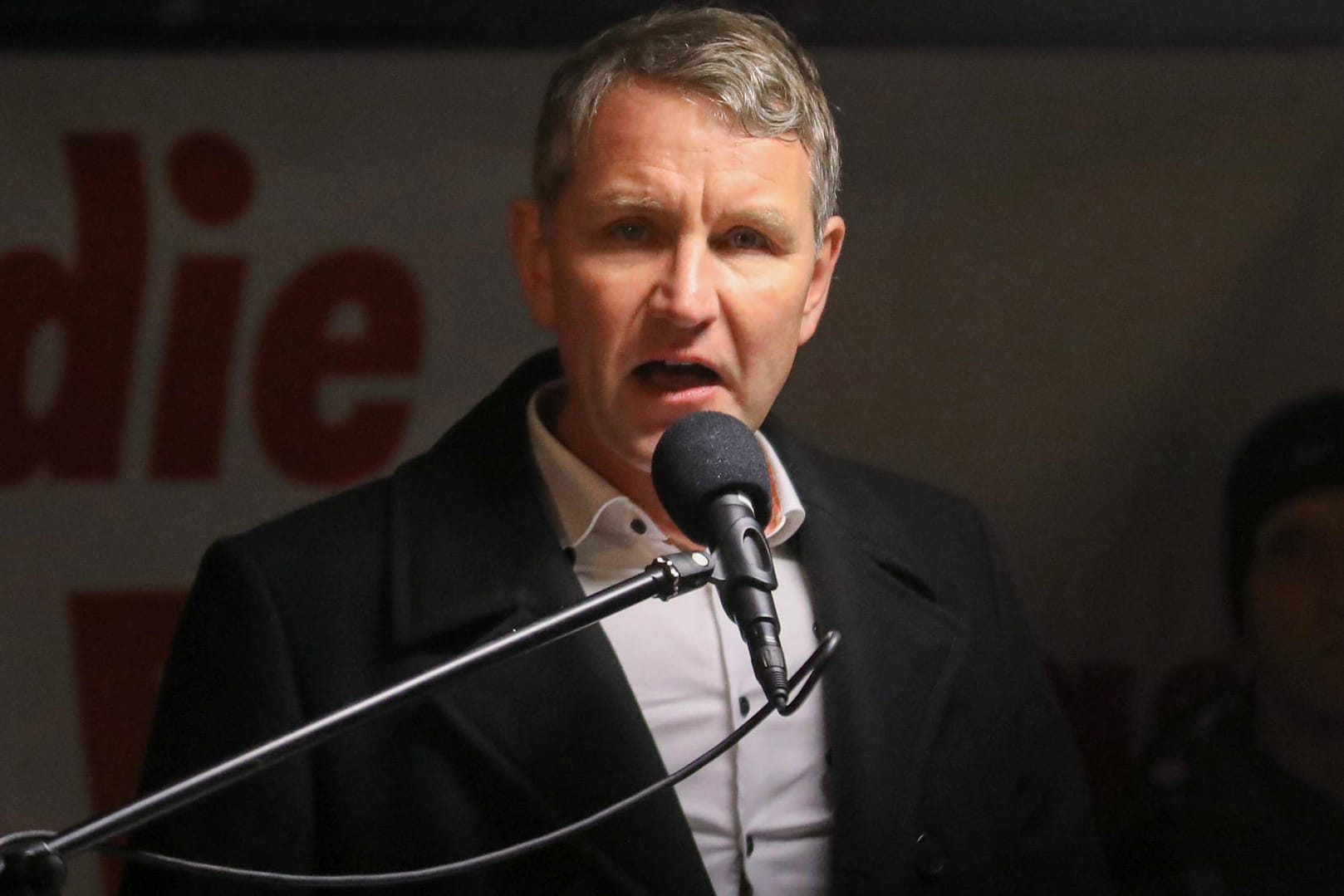 Björn Höcke: Er gehört zu den führenden Köpfen des AfD-"Flügels".