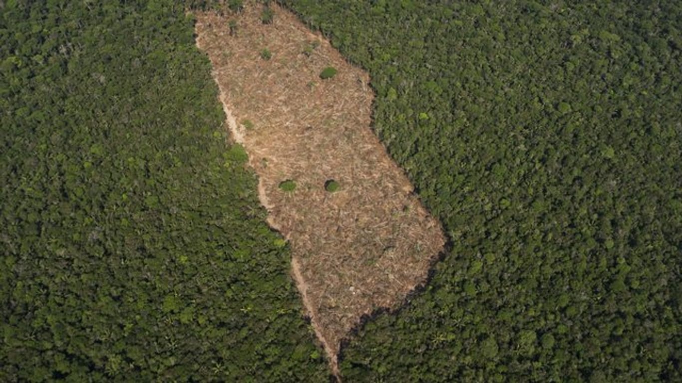 Ein abgeholztes Waldstück in der Mitte eines Waldgebietes in der brasilianischen Amazonasregion.