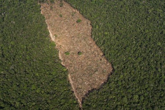 Ein abgeholztes Waldstück in der Mitte eines Waldgebietes in der brasilianischen Amazonasregion.