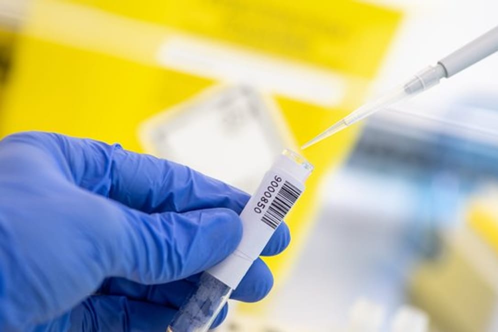 Coronavirus Labor