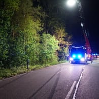 Die Spuren eines Fahrzeugs sind neben einer ausgefahrenen Leiter eines Feuerwehrwagens zu sehen: Bei einem schweren Verkehrsunfall bei Mosbach sind zwei Menschen ums Leben gekommen.