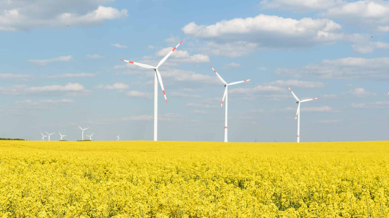 Ein Windpark im Rapsfeld: Nachhaltige ETFs investieren zum Teil in erneuerbare Energien.