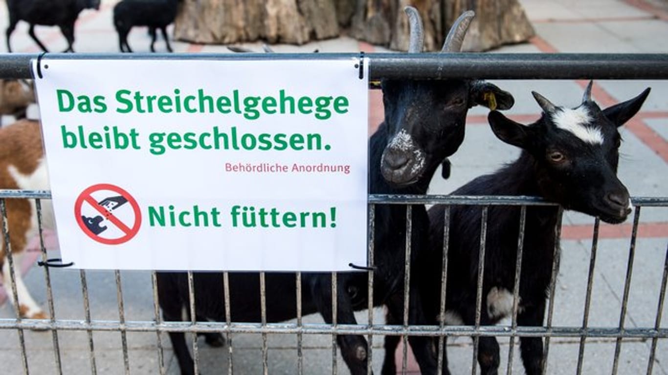 Ein Schild mit dem Hinweis "Nicht füttern" hängt am Streichelgehege: Einige Teile des Zoos bleiben geschlossen.