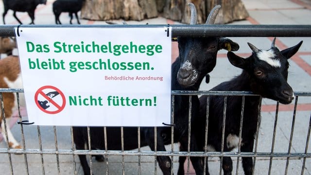 Ein Schild mit dem Hinweis "Nicht füttern" hängt am Streichelgehege: Einige Teile des Zoos bleiben geschlossen. Ein Schild mit dem Hinweis "Nicht füttern" hängt am Streichelgehege: Einige Teile des Zoos bleiben geschlossen.