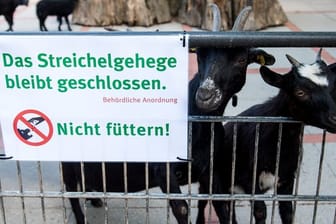 Ein Schild mit dem Hinweis "Nicht füttern" hängt am Streichelgehege: Einige Teile des Zoos bleiben geschlossen.