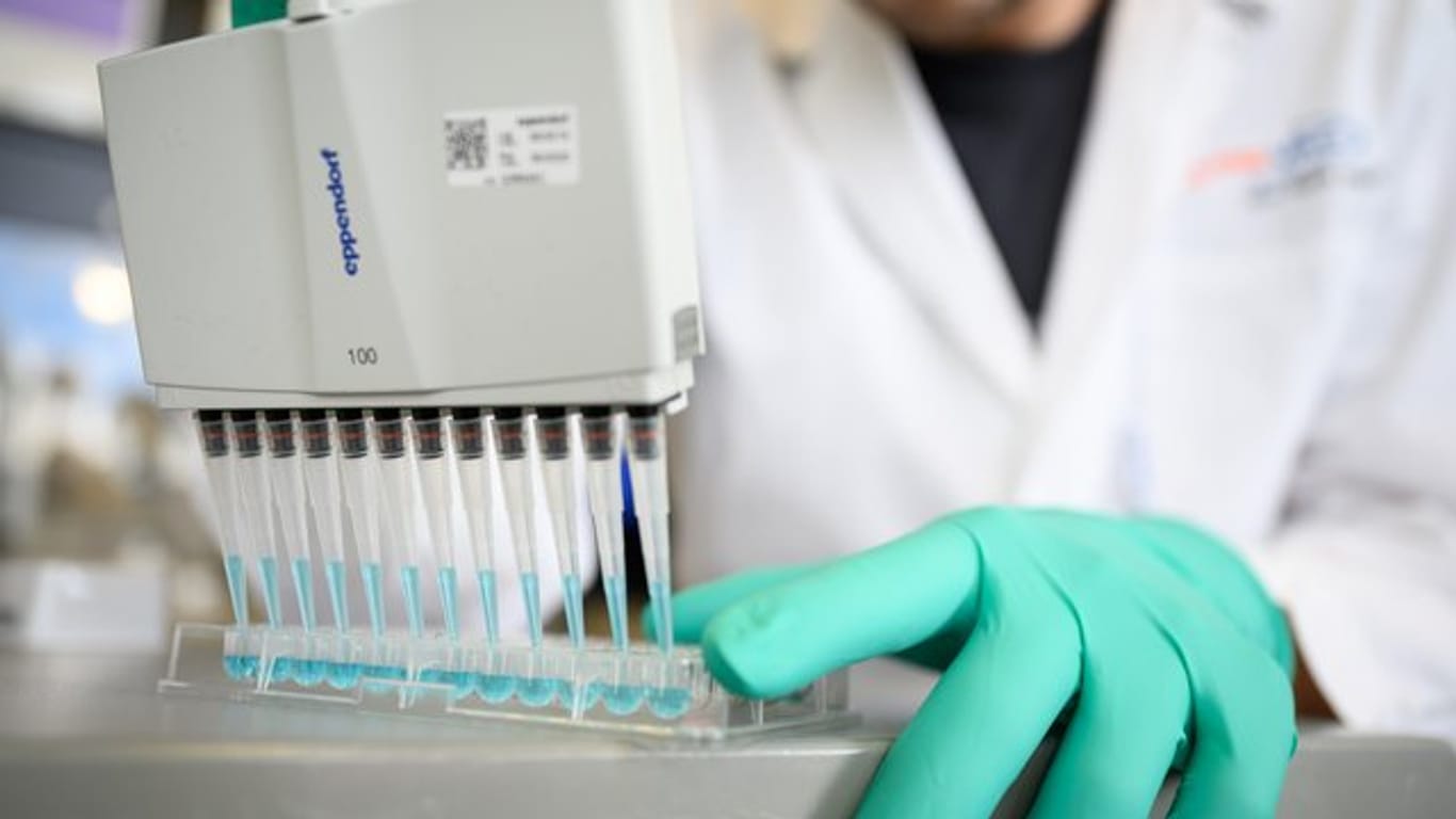 Suche nach einem Impfstoff: Ein Mann pipettiert in einem Labor des biopharmazeutischen Unternehmens Curevac eine blaue Flüssigkeit.