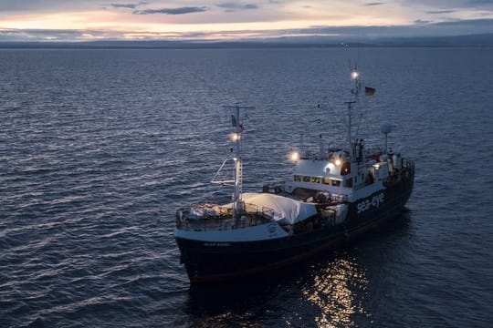 Dieses von der Hilfsorganisation Sea-Eye zur Verfügung gestellte Foto zeigt das deutsche Rettungsschiff "Alan Kurdi".