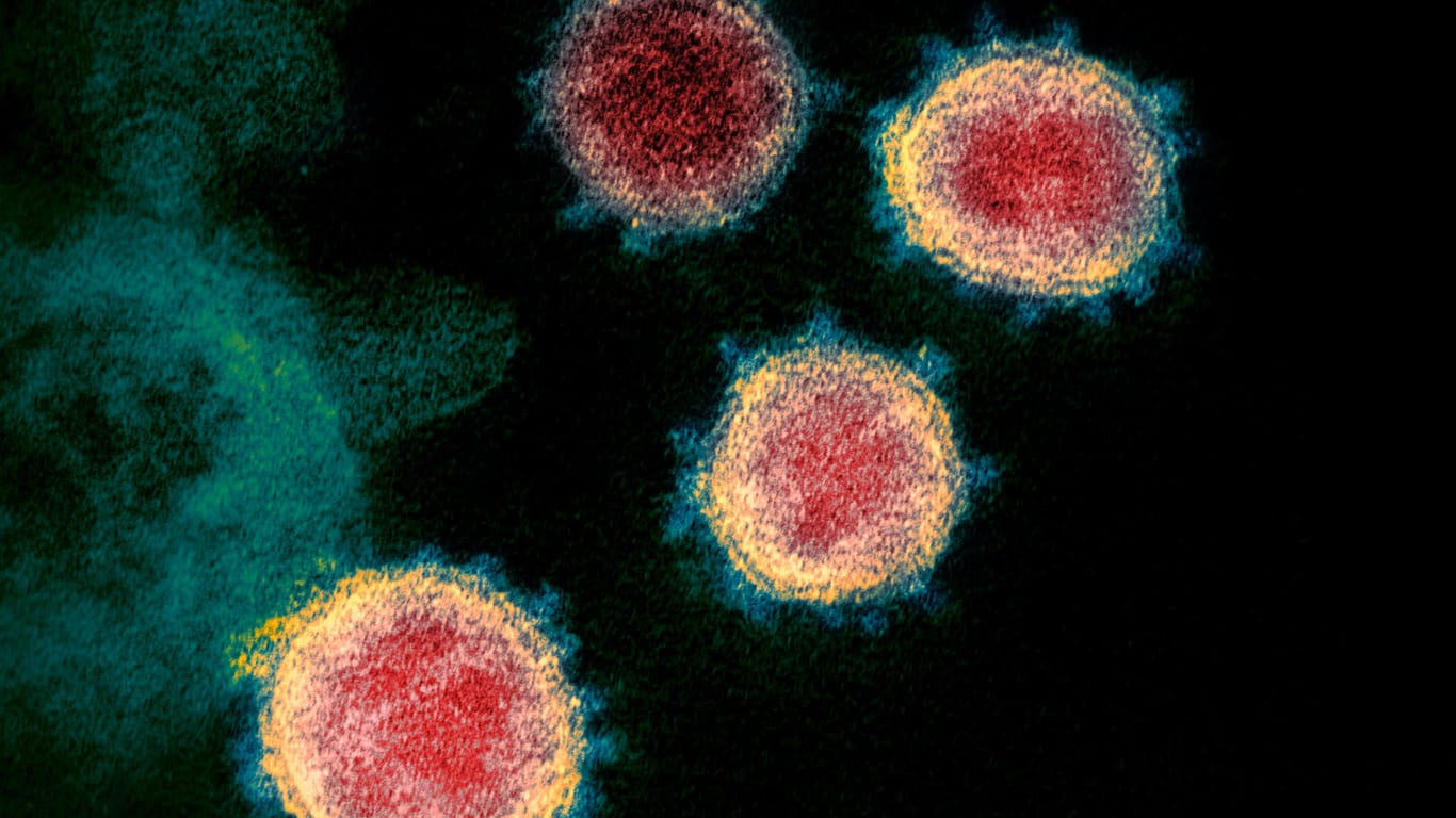 Coronavirus: Die Organismen können im Körper schwere Schäden anrichten, so aucg das SARS-CoV-2, das Covid-19 verursacht.