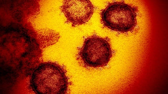 Coronavirus Coronavirus