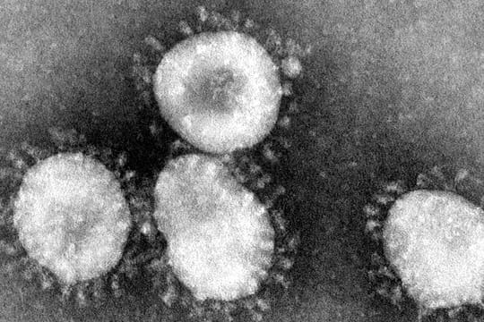 Coronavirus